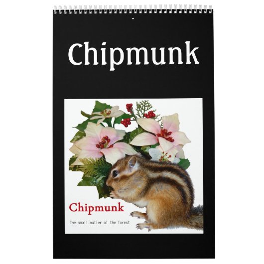 chipmunk (USA) Kalender (Hoes)