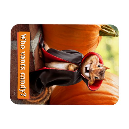 Chipmunk Vampire Magneet (Horizontaal)