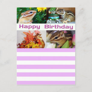 Chipmunk, Verjaardag, Vakantie, Kerstmis (foto) Feestdagenkaart