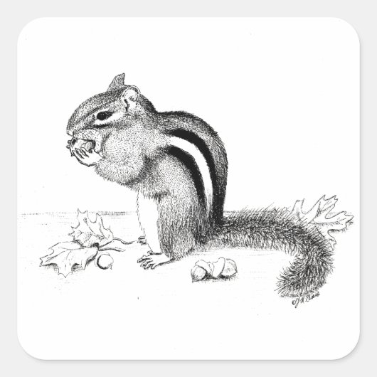 Chipmunk Vierkante Sticker (Voorkant)