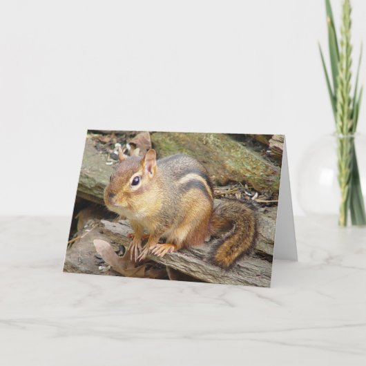 Chipmunk Wenskaart 2 Kaart (Voorkant)