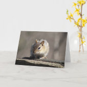 Chipmunk Wenskaart Kaart (Gele Bloem)
