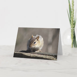 Chipmunk Wenskaart Kaart