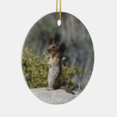 Chipmunk, wilde dieren, keramisch ornament (Rechts)
