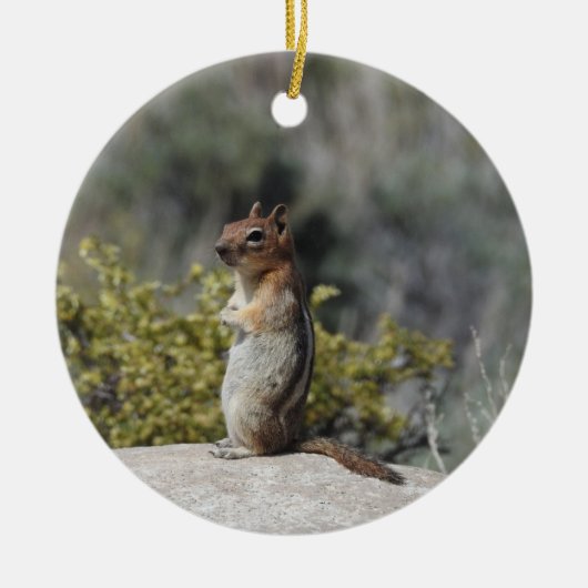 Chipmunk, wilde dieren, keramisch ornament (Voorkant)