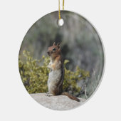 Chipmunk, wilde dieren, keramisch ornament (Links)