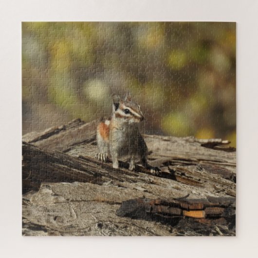 Chipmunk, wilde dieren, puzzel (Verticaal)