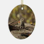 Chipmunk, wilde dieren, sierplanten keramisch ornament (Rechts)