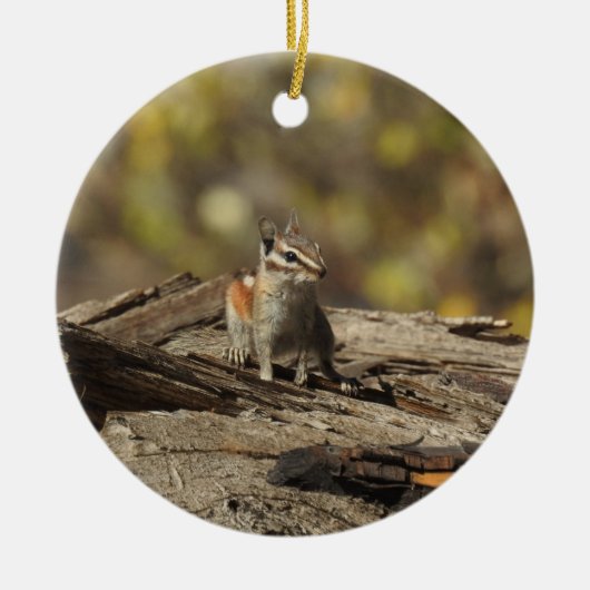 Chipmunk, wilde dieren, sierplanten keramisch ornament (Voorkant)