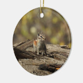 Chipmunk, wilde dieren, sierplanten keramisch ornament (Links)