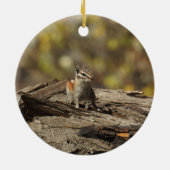 Chipmunk, wilde dieren, sierplanten keramisch ornament (Achterkant)