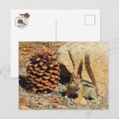 Chipmunk, wilde dieren, wilde briefkaarten (Voorkant / Achterkant)