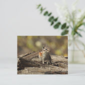 Chipmunk, wilde dieren, wilde briefkaarten (Staand voorkant)