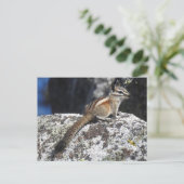 Chipmunk, wilde dieren, wilde briefkaarten (Staand voorkant)