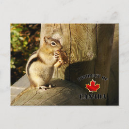 Chipmunketende paddenstoelen briefkaart