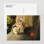 Chipmunketende paddenstoelen briefkaart (Voorkant / Achterkant)