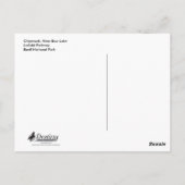 Chipmunketende paddenstoelen briefkaart (Achterkant)