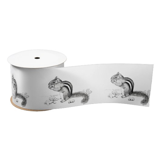 chipmunklint satijnen lint (Spoel)