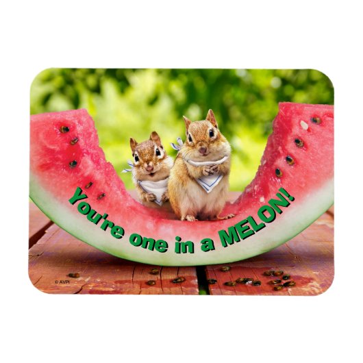 Chipmunks die watermeloen eten magneet (Horizontaal)