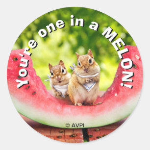 Chipmunks die watermeloen eten ronde sticker