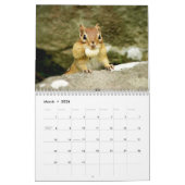 Chipmunks. Een supergeluid 2014-wandkalender Kalender (Mar 2026)