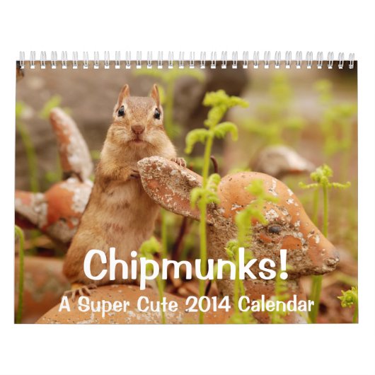 Chipmunks. Een supergeluid 2014-wandkalender Kalender (Hoes)