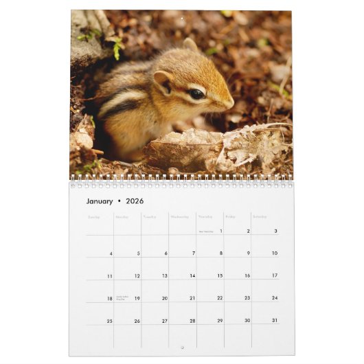Chipmunks. Een supergeluid 2015-wandkalender Kalender (Jan 2026)