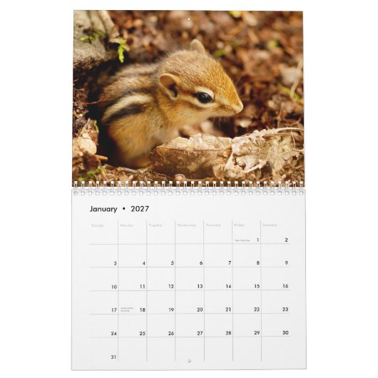 Chipmunks. Een supergeluid 2015-wandkalender Kalender (Jan 2027)