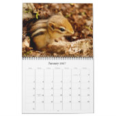 Chipmunks. Een superstootreerwandkalender Kalender (Jan 2027)