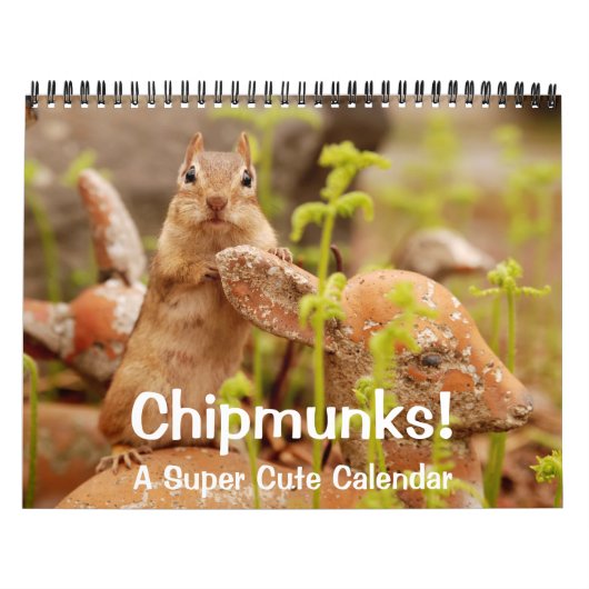 Chipmunks. Een superstootreerwandkalender Kalender (Hoes)
