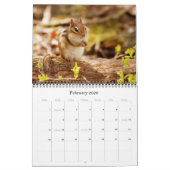 Chipmunks. Een superstootreerwandkalender Kalender (Feb 2026)