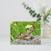 Chipmunks en wilde bloemen briefkaart (Staand voorkant)