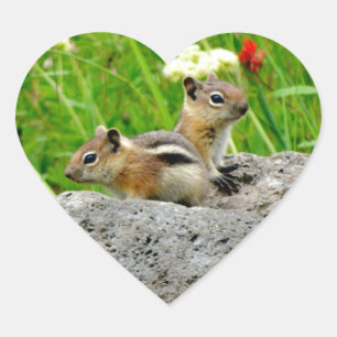 Chipmunks en wilde bloemen hart sticker