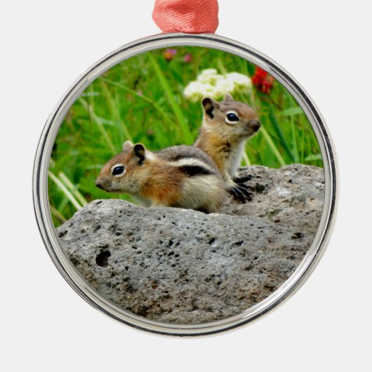 Chipmunks en wilde bloemen metalen ornament (Voorkant)