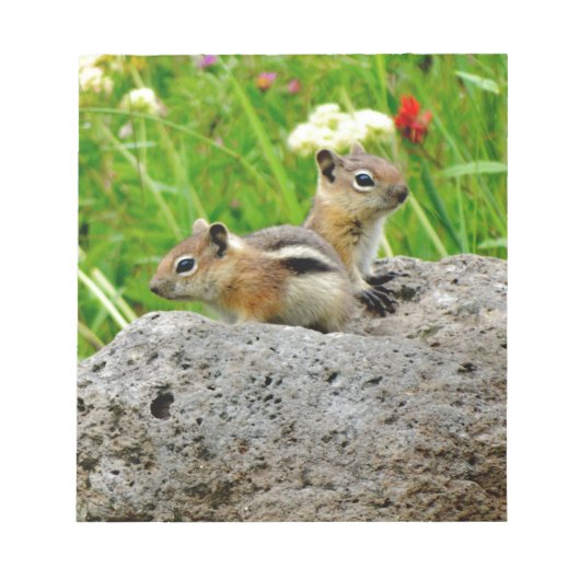 Chipmunks en wilde bloemen notitieblok (Voorkant)