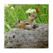 Chipmunks en wilde bloemen tegeltje (Voorkant)