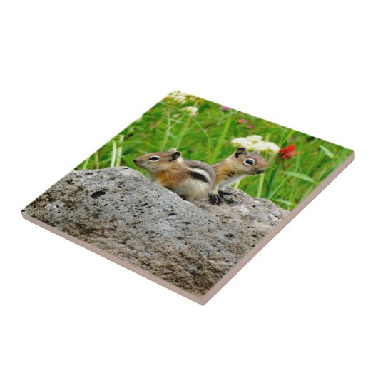 Chipmunks en wilde bloemen tegeltje (Zijkant)