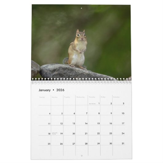 Chipmunks in de Adirondacks 2026 Kalender (Jan 2026)