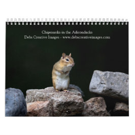 Chipmunks in de Adirondacks 2026 Kalender