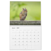 Chipmunks in de Adirondacks 2026 Kalender (Mar 2027)