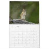 Chipmunks in de Adirondacks 2026 Kalender (Jan 2027)