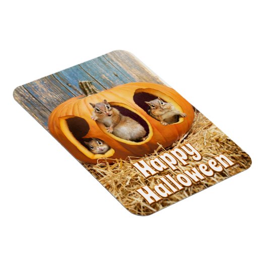 Chipmunks Inside Boo Jack-o-Lantern Magneet (Rechterzijde)