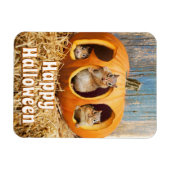 Chipmunks Inside Boo Jack-o-Lantern Magneet (Horizontaal)