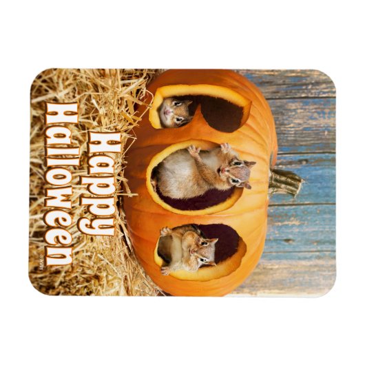 Chipmunks Inside Boo Jack-o-Lantern Magneet (Horizontaal)