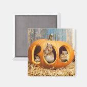 Chipmunks Inside Boo Jack-o-Lantern Magneet (Voorkant / Achterkant)