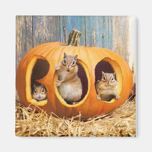 Chipmunks Inside Boo Jack-o-Lantern Magneet (Voorkant)