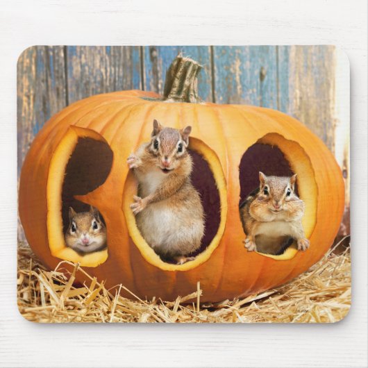 Chipmunks Inside Boo Jack-o-Lantern Muismat (Voorkant)