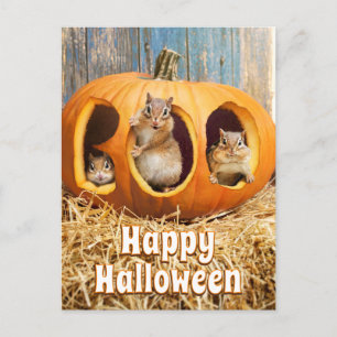Chipmunks Inside Boo Jack-o-Lantern Uitnodiging Briefkaart