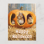Chipmunks Inside Boo Jack-o-Lantern Uitnodiging Briefkaart (Voorkant)
