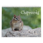 Chipmunks Kalender (Hoes)